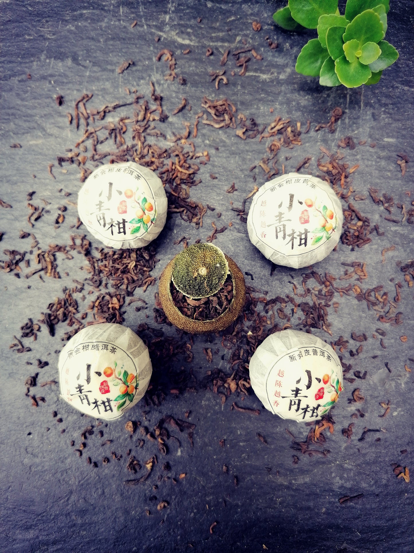 Xinhui Mandarin Pu Erh 7Y | Xinhui Pu Erh Mandarijn