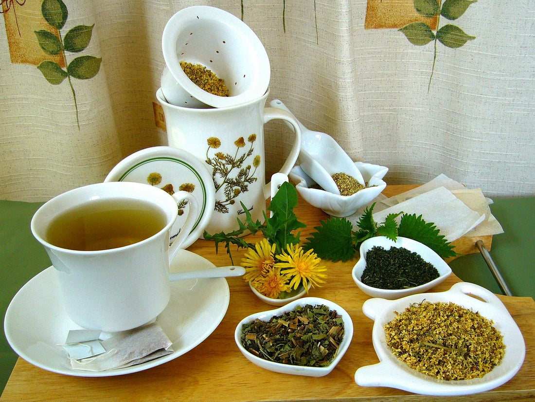 Kruidenthee Zetten volgens de Herboristenvisie: infusie, decoctie & tips