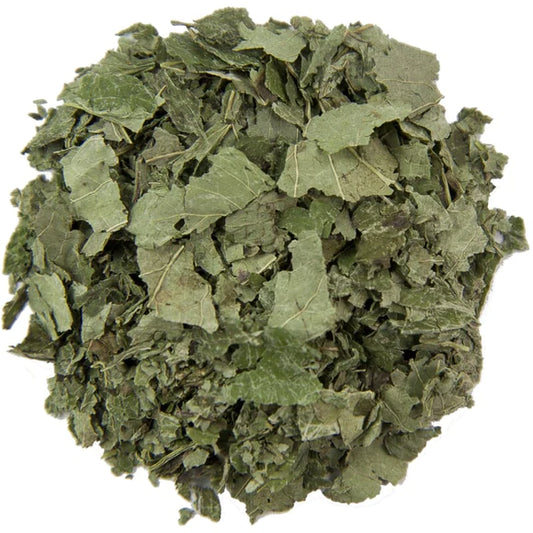 Citroenmelisse (Melissa Officinalis)