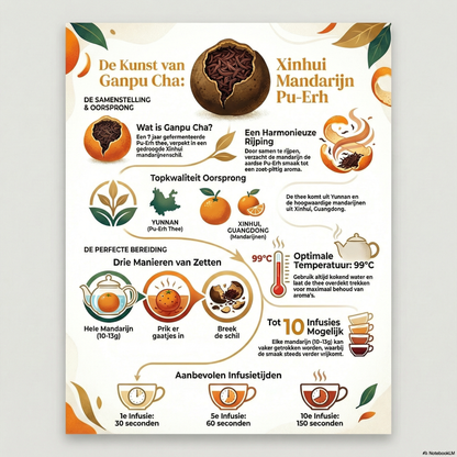 Xinhui Mandarin Pu Erh 7Y | Xinhui Pu Erh Mandarijn