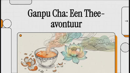 Xinhui Mandarin Pu Erh 7Y | Xinhui Pu Erh Mandarijn