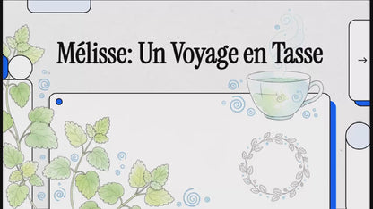 Citroenmelisse (Melissa Officinalis)