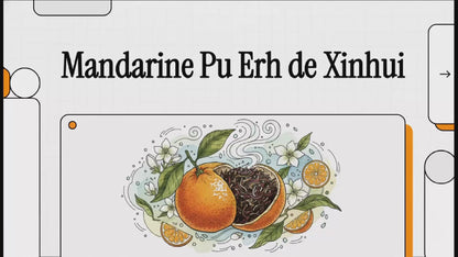 Xinhui Mandarin Pu Erh 7Y | Xinhui Pu Erh Mandarijn
